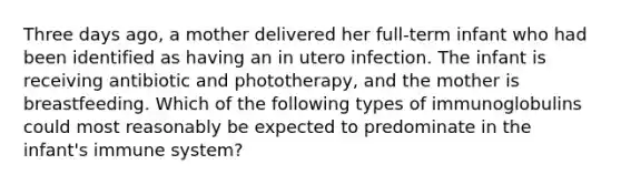 Three days ago, a mother delivered her full-term infant who had been identified as having an in utero infection. The infant is receiving antibiotic and phototherapy, and the mother is breastfeeding. Which of the following types of immunoglobulins could most reasonably be expected to predominate in the infant's immune system?