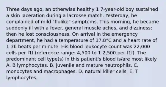 Three days ago, an otherwise healthy 1 7-year-old boy sustained a skin laceration during a lacrosse match. Yesterday, he complained of mild "flulike" symptoms. This morning, he became suddenly ill with a fever, general muscle aches, and dizziness; then he lost consciousness. On arrival in the emergency department, he had a temperature of 37.8°C and a heart rate of 1 36 beats per minute. His blood leukocyte count was 22,000 cells per f1l (reference range: 4,500 to 1 2,500 per f1l). The predominant cell type(s) in this patient's blood is/are most likely A. B lymphocytes. B. juvenile and mature neutrophils. C. monocytes and macrophages. D. natural killer cells. E. T lymphocytes.