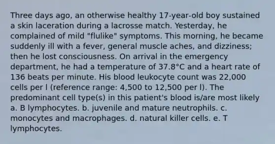 Three days ago, an otherwise healthy 17‐year‐old boy sustained a skin laceration during a lacrosse match. Yesterday, he complained of mild "flulike" symptoms. This morning, he became suddenly ill with a fever, general muscle aches, and dizziness; then he lost consciousness. On arrival in the emergency department, he had a temperature of 37.8°C and a heart rate of 136 beats per minute. His blood leukocyte count was 22,000 cells per l (reference range: 4,500 to 12,500 per l). The predominant cell type(s) in this patient's blood is/are most likely a. B lymphocytes. b. juvenile and mature neutrophils. c. monocytes and macrophages. d. natural killer cells. e. T lymphocytes.