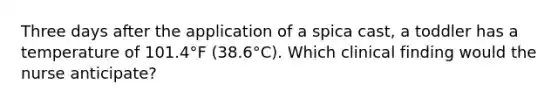 Three days after the application of a spica cast, a toddler has a temperature of 101.4°F (38.6°C). Which clinical finding would the nurse anticipate?