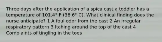 Three days after the application of a spica cast a toddler has a temperature of 101.4° F (38.6° C). What clinical finding does the nurse anticipate? 1 A foul odor from the cast 2 An irregular respiratory pattern 3 Itching around the top of the cast 4 Complaints of tingling in the toes