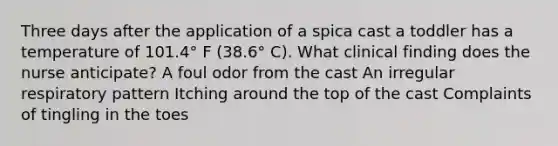 Three days after the application of a spica cast a toddler has a temperature of 101.4° F (38.6° C). What clinical finding does the nurse anticipate? A foul odor from the cast An irregular respiratory pattern Itching around the top of the cast Complaints of tingling in the toes