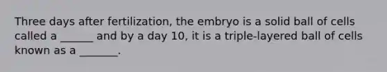 Three days after fertilization, the embryo is a solid ball of cells called a ______ and by a day 10, it is a triple-layered ball of cells known as a _______.