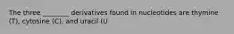 The three ________ derivatives found in nucleotides are thymine (T), cytosine (C), and uracil (U