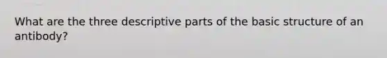 What are the three descriptive parts of the basic structure of an antibody?