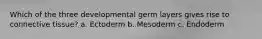 Which of the three developmental germ layers gives rise to connective tissue? a. Ectoderm b. Mesoderm c. Endoderm