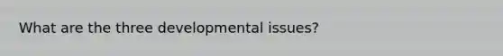 What are the three developmental issues?