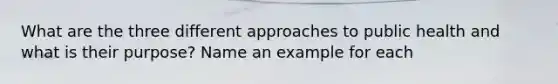 What are the three different approaches to public health and what is their purpose? Name an example for each