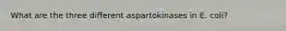 What are the three different aspartokinases in E. coli?