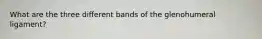 What are the three different bands of the glenohumeral ligament?