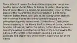 Three different causes for Acute Kidney injury can occur in a healthy person-Renal Artery to Kidney to ureter; allow proper flow of urine. There is a reason for acute kidney injury in three places of this natural flow of urine production 1.)Pre-Renal Problem: Before blood even gets to the kidney-some problem with the blood flow to the kidney something going on pathophysiologically before renal. 2.)Intra-Renal Obstruction: Something going in the kidney itself; in terms of tissue, nephron function, intrinsically within the kidney. 3.)Post-Renal Problem: Something wrong in obstruction of flow of the urine leaving the kidney, in the ureter in the bladder causing a log jam of adequate and proper flow of the freshly made urine out of the kidney