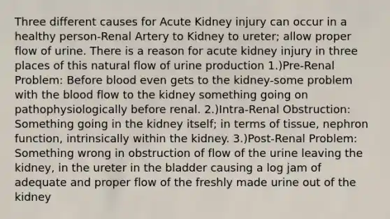 Three different causes for Acute Kidney injury can occur in a healthy person-Renal Artery to Kidney to ureter; allow proper flow of urine. There is a reason for acute kidney injury in three places of this natural flow of urine production 1.)Pre-Renal Problem: Before blood even gets to the kidney-some problem with the blood flow to the kidney something going on pathophysiologically before renal. 2.)Intra-Renal Obstruction: Something going in the kidney itself; in terms of tissue, nephron function, intrinsically within the kidney. 3.)Post-Renal Problem: Something wrong in obstruction of flow of the urine leaving the kidney, in the ureter in the bladder causing a log jam of adequate and proper flow of the freshly made urine out of the kidney