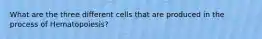 What are the three different cells that are produced in the process of Hematopoiesis?