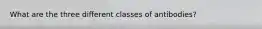 What are the three different classes of antibodies?