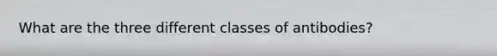 What are the three different classes of antibodies?