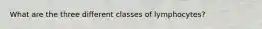 What are the three different classes of lymphocytes?