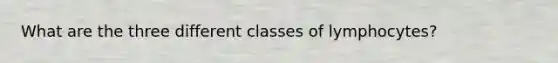 What are the three different classes of lymphocytes?