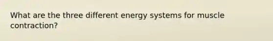 What are the three different energy systems for muscle contraction?