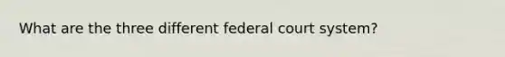 What are the three different federal court system?