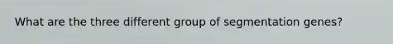 What are the three different group of segmentation genes?