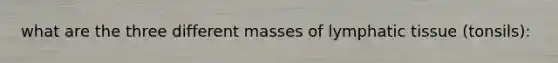 what are the three different masses of lymphatic tissue (tonsils):