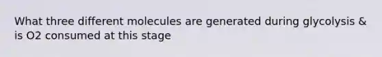 What three different molecules are generated during glycolysis & is O2 consumed at this stage