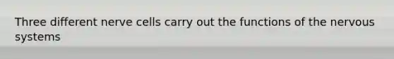 Three different nerve cells carry out the functions of the <a href='https://www.questionai.com/knowledge/kThdVqrsqy-nervous-system' class='anchor-knowledge'>nervous system</a>s