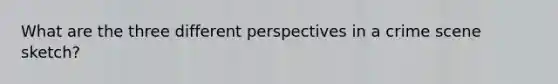 What are the three different perspectives in a crime scene sketch?