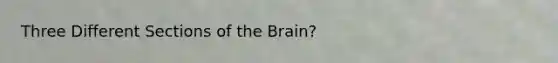 Three Different Sections of the Brain?