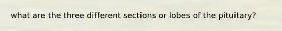 what are the three different sections or lobes of the pituitary?