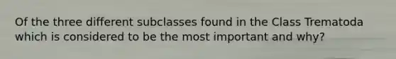 Of the three different subclasses found in the Class Trematoda which is considered to be the most important and why?