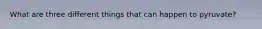 What are three different things that can happen to pyruvate?