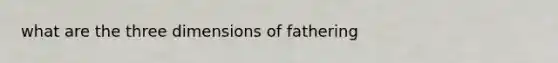 what are the three dimensions of fathering