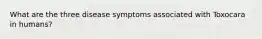 What are the three disease symptoms associated with Toxocara in humans?