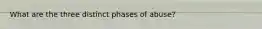 What are the three distinct phases of abuse?