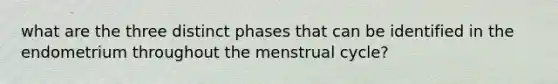 what are the three distinct phases that can be identified in the endometrium throughout the menstrual cycle?