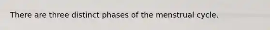 There are three distinct phases of the menstrual cycle.