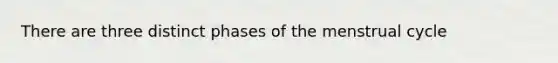 There are three distinct phases of the menstrual cycle