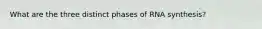What are the three distinct phases of RNA synthesis?