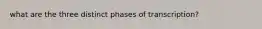 what are the three distinct phases of transcription?