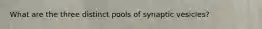 What are the three distinct pools of synaptic vesicles?
