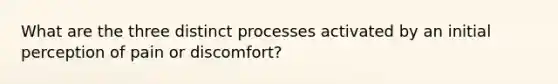 What are the three distinct processes activated by an initial perception of pain or discomfort?