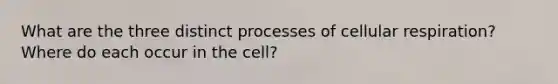 What are the three distinct processes of cellular respiration? Where do each occur in the cell?