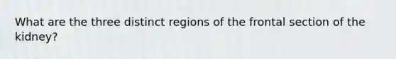 What are the three distinct regions of the frontal section of the kidney?