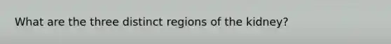 What are the three distinct regions of the kidney?