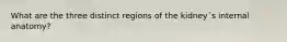 What are the three distinct regions of the kidney´s internal anatomy?