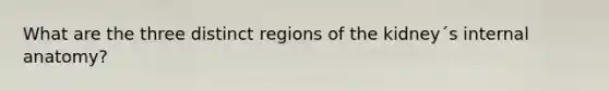 What are the three distinct regions of the kidney´s internal anatomy?