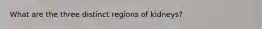 What are the three distinct regions of kidneys?