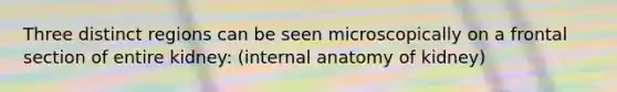 Three distinct regions can be seen microscopically on a frontal section of entire kidney: (internal anatomy of kidney)