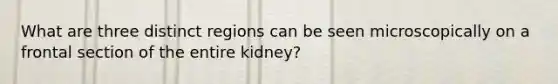 What are three distinct regions can be seen microscopically on a frontal section of the entire kidney?